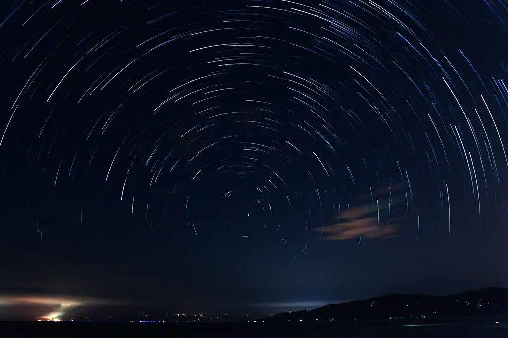 杜松果：藥草界的多功能小星星