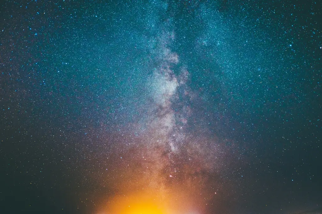 檜木精油：台灣森林的寶藏，芳香療法界的大明星